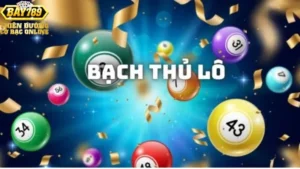 Cách chọn số và phương pháp chơi bạch thủ lô