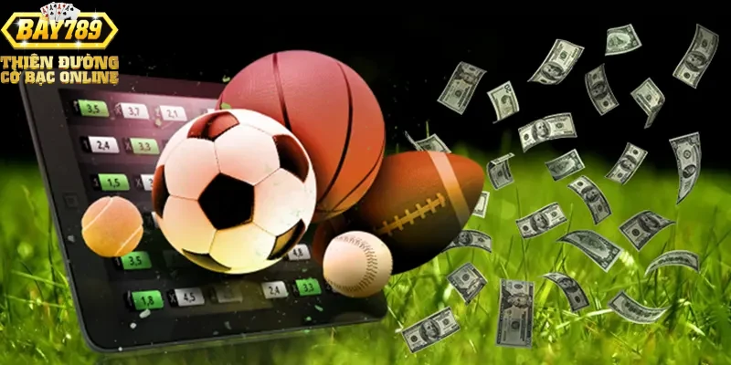 gioi-thieu-tong-quan-ve-the-thao-bay789 Giới thiệu tổng quan về thể thao Bay789