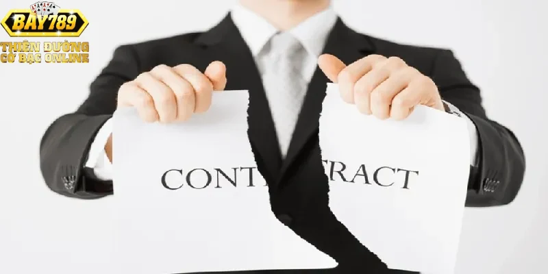 cac-dieu-khoan-chinh-trong-mien-tru-trach-nhiem-cua-bay789 Các điều khoản chính trong miễn trừ trách nhiệm của Bay789